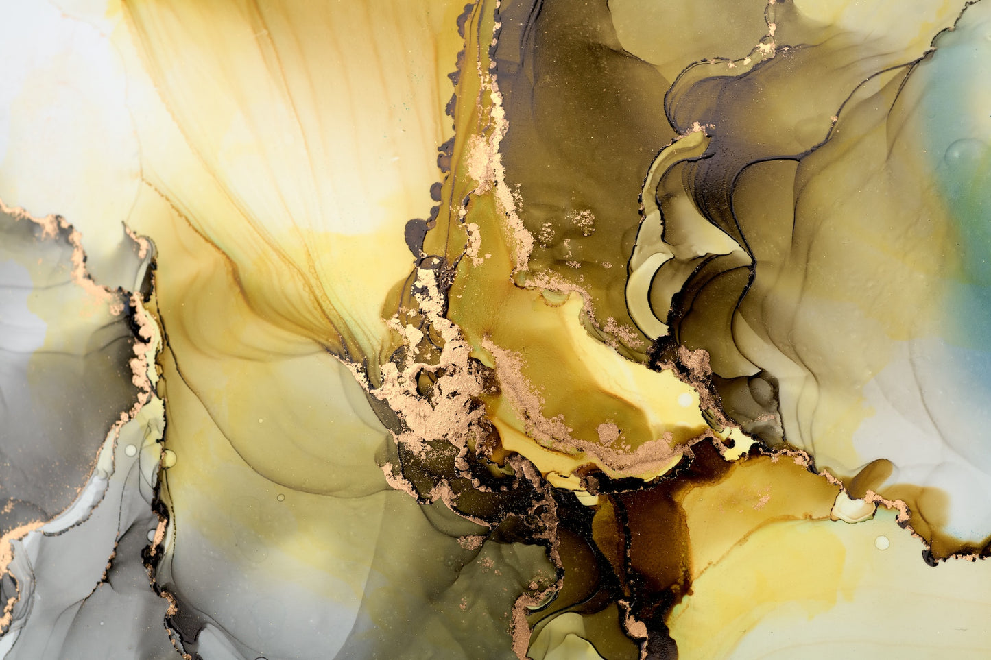 Golden Light Gratitude Transmission and Meditation