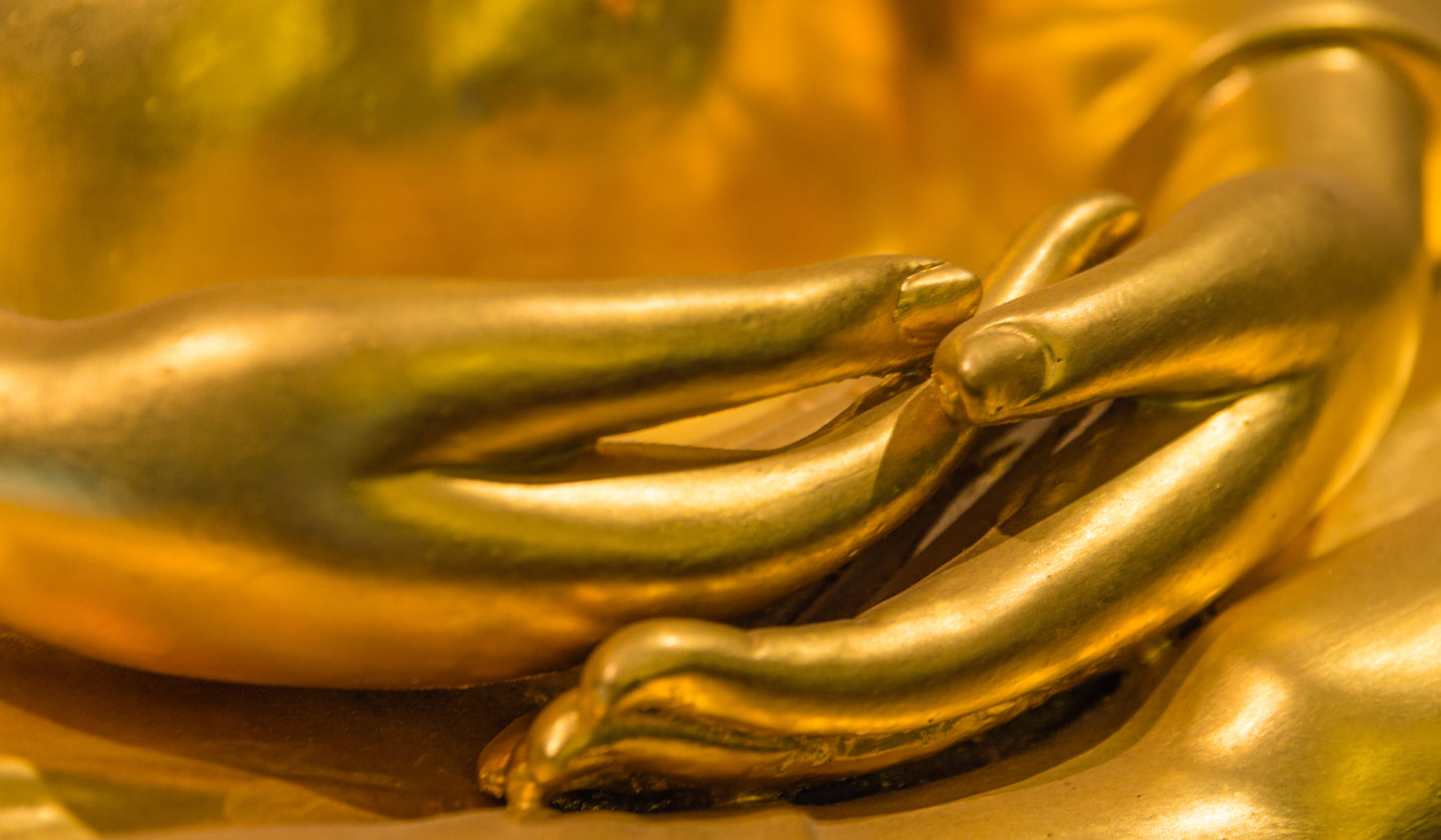 Wesak 2026: The Buddha Light