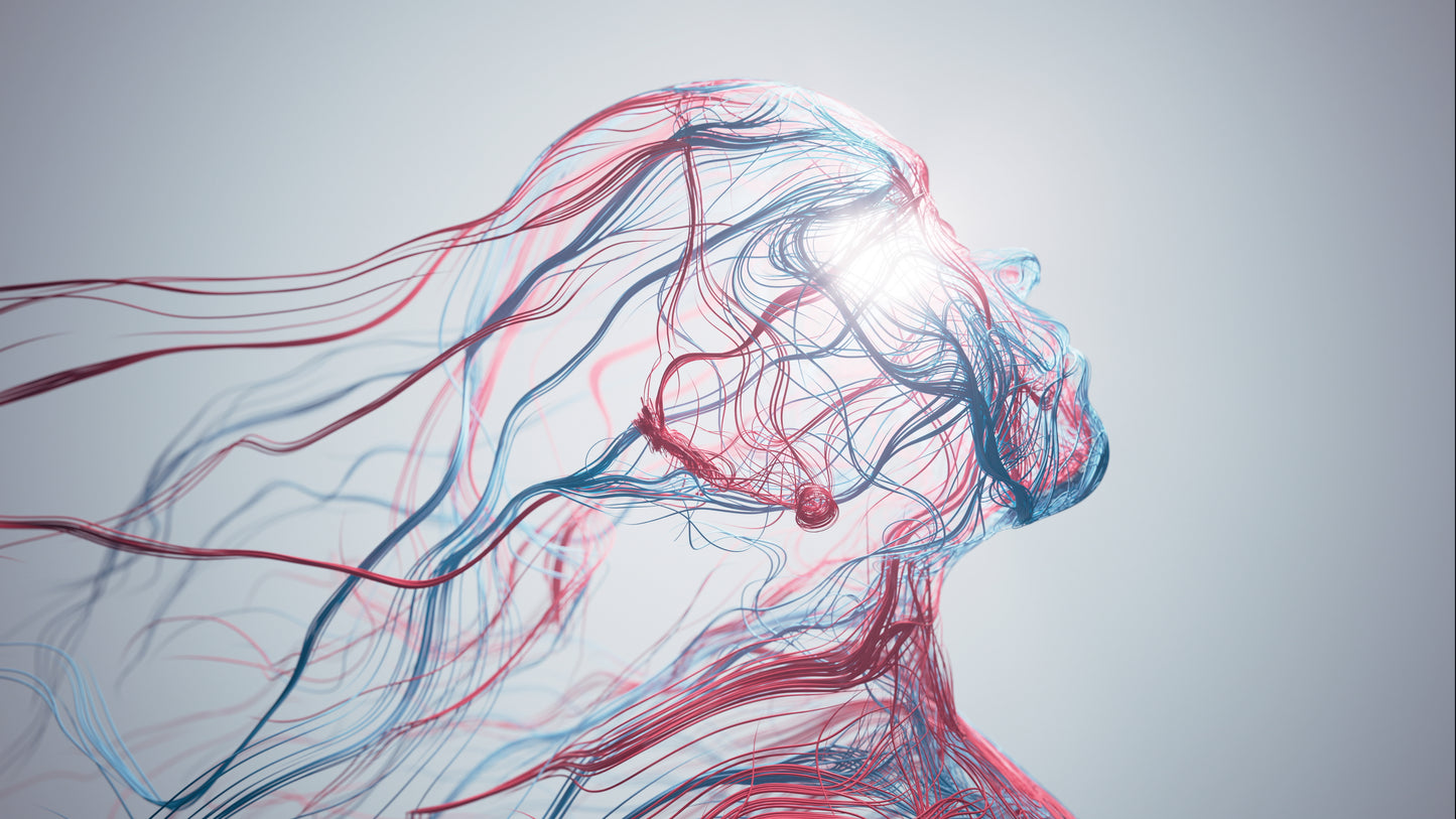 Arcturian Psychic Cord Cutting Transmission