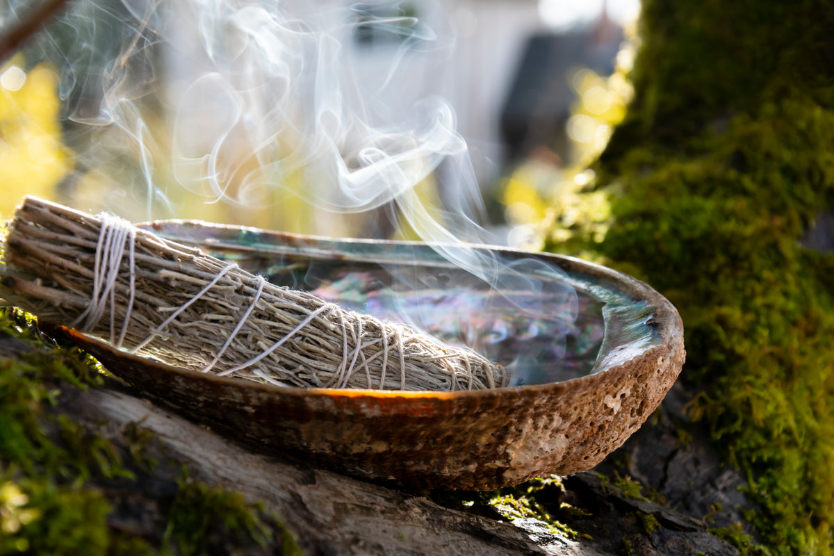 Arcturian Curse Deconstruction Transmission