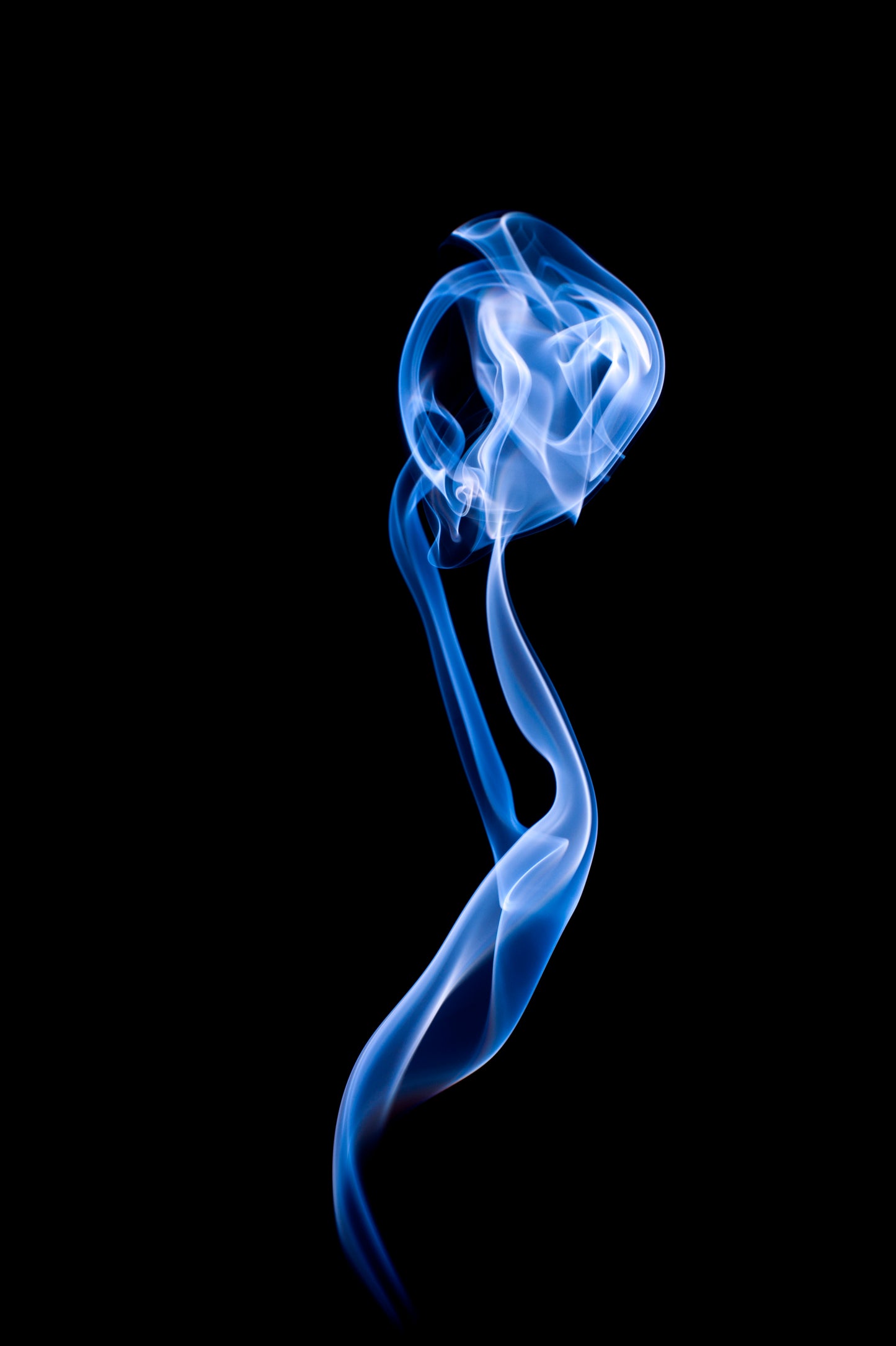 12 by 12 Metatron Winter Retreat 2022: Serpent Power