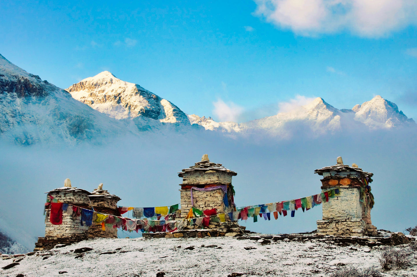 Bhutan Fee