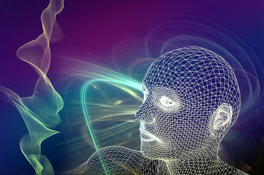 Arcturian Healing Method Level 12 Practicum 02: Clarity