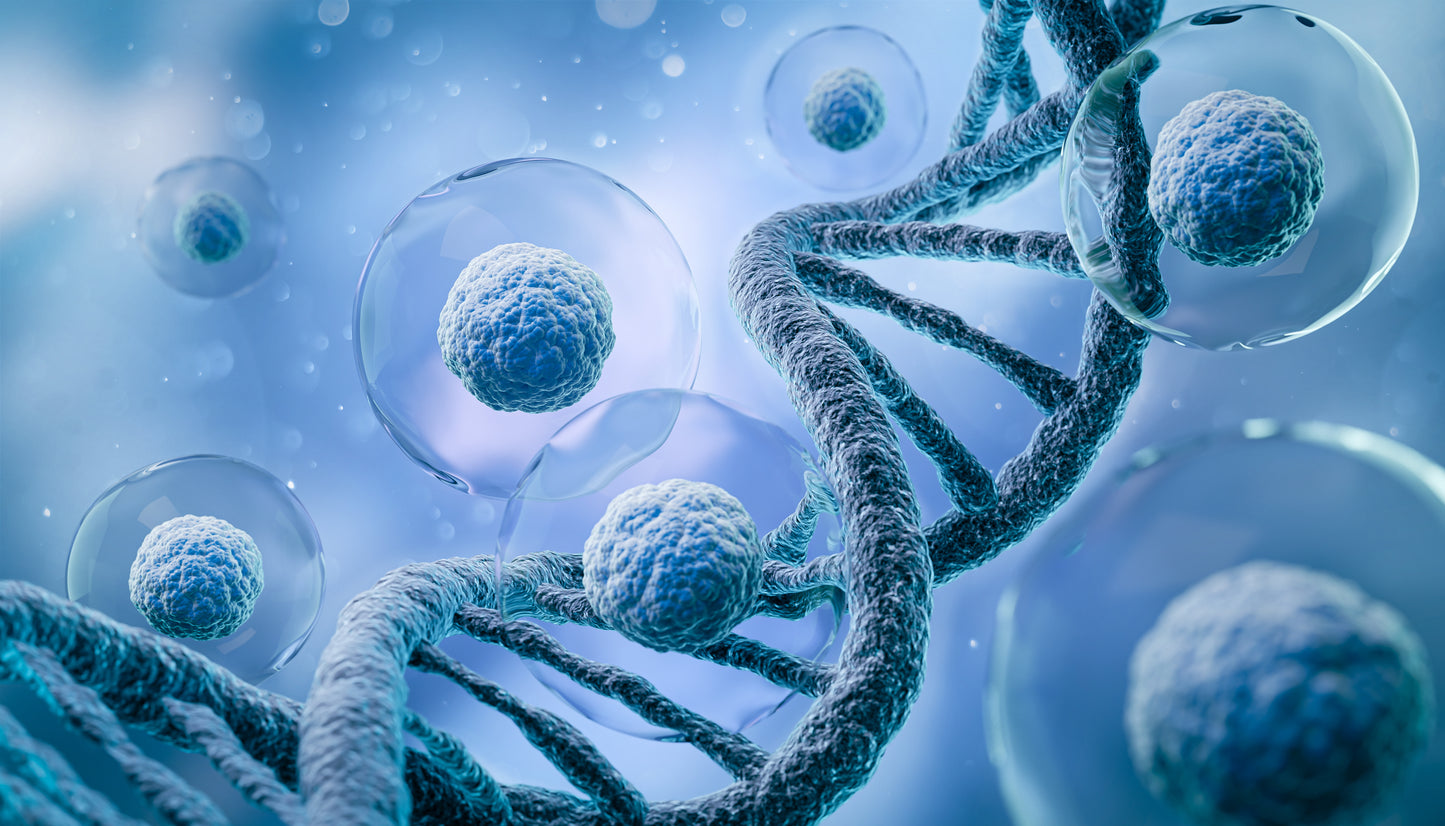 Arcturian Cancer Healing Protocol Session