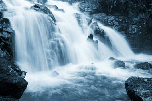Clear Fountain: Question and Answer Session