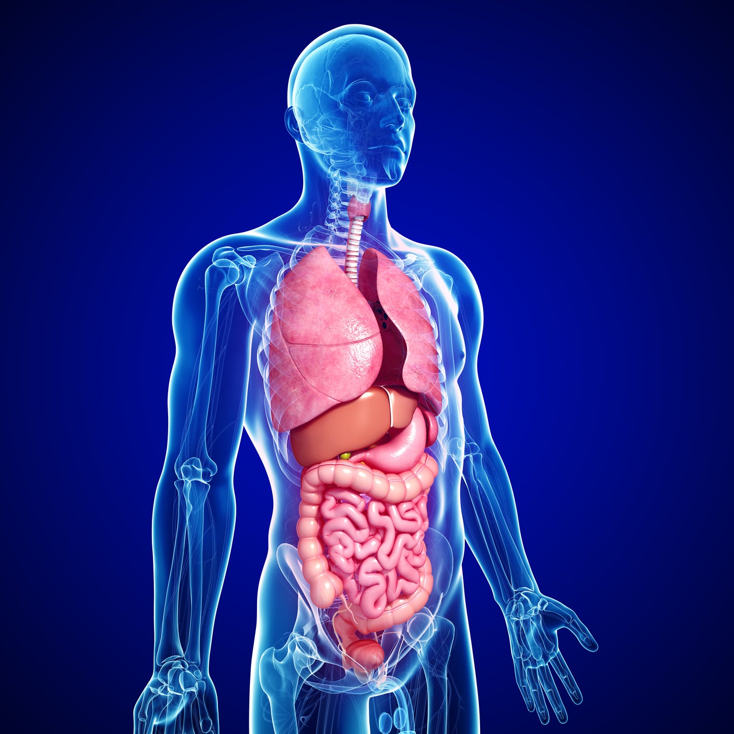 Arcturian Digestive System Healing