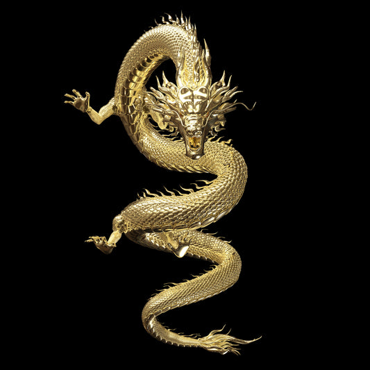 Arcturian Color Dragon Session (on-line)