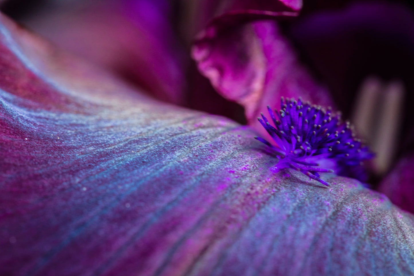 Arcturian Group Healing August 5, 2026