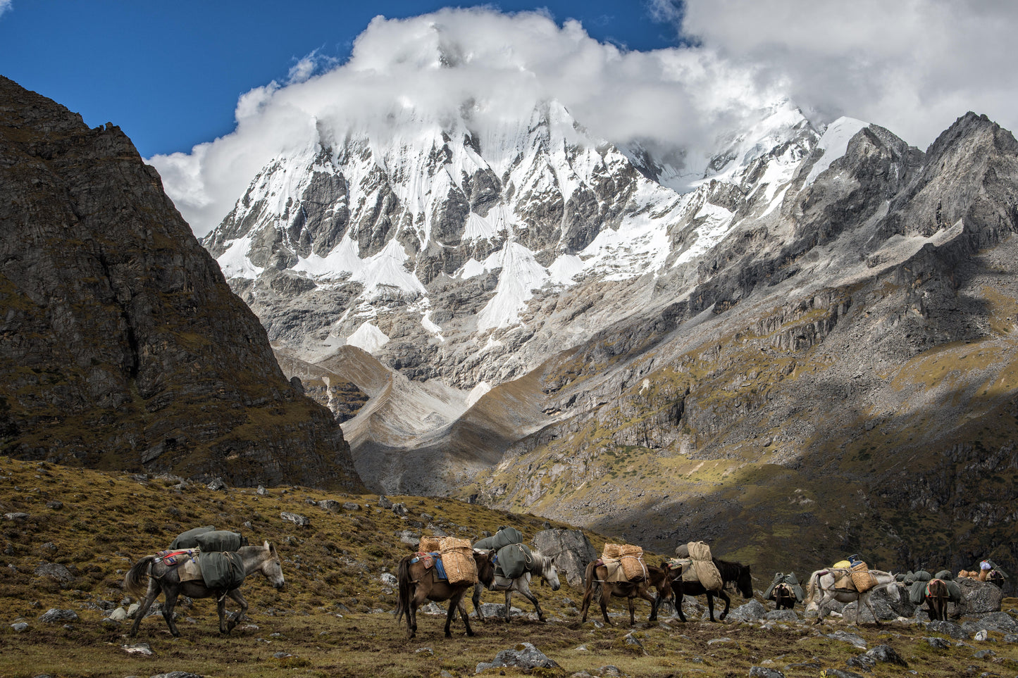 Bhutan 2026: Dragon Path Deposit