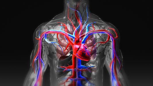 Arcturian Healthy Heart Healing (on-line)