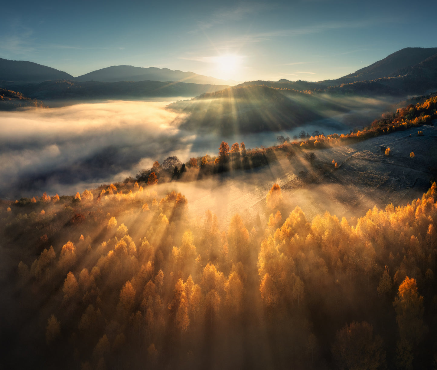 Arcturian Magical Powers of Speech