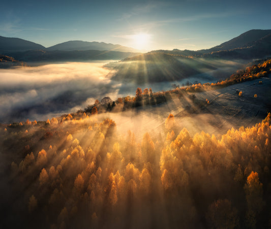 Arcturian Magical Powers of Speech