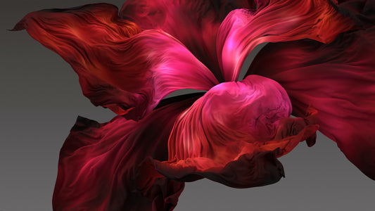 Arcturian Success Package Transmission
