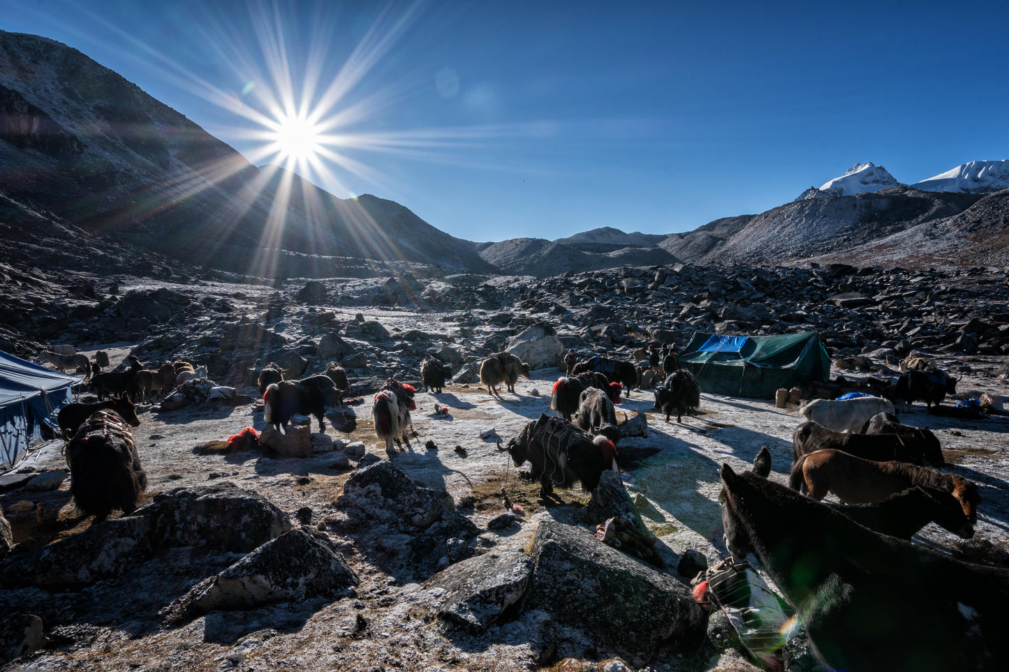 Bhutan 2026: Snowman Trek Deposit