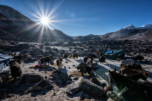 Bhutan 2026: Snowman Trek Deposit