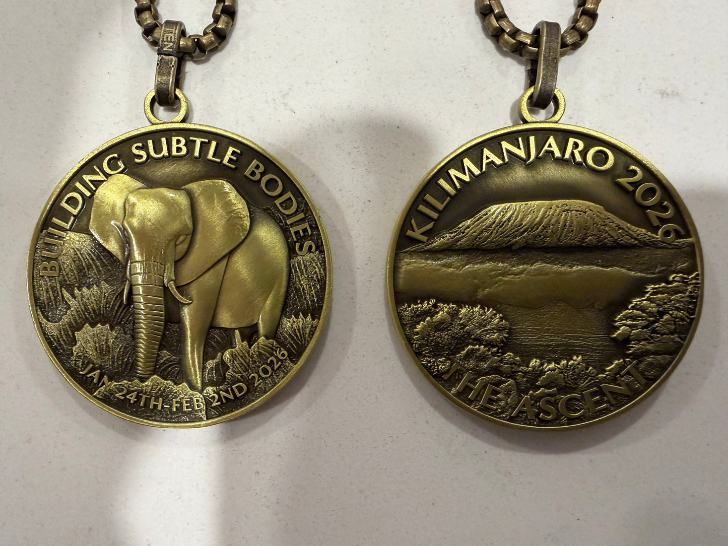 Arcturian Healing Method Level 15 Medallion Empowerment