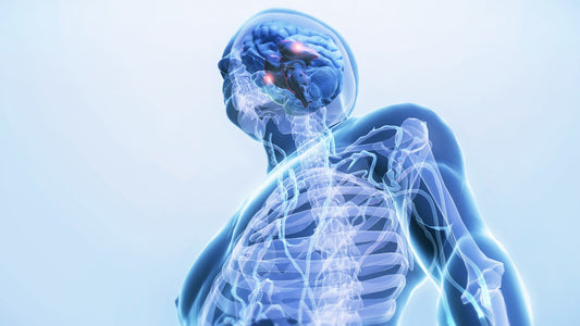 Arcturian Ascension Process