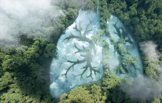 Breath of Life: Healing the Lungs