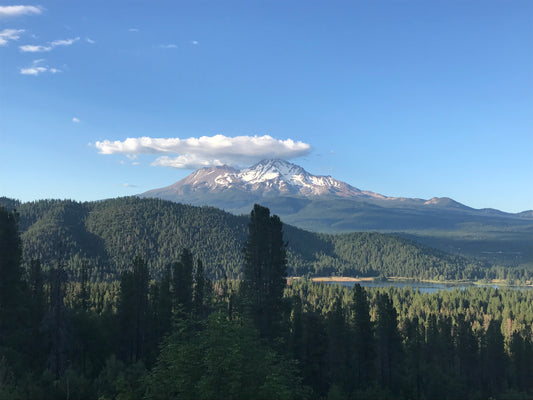 The Shasta Vortex Transmission (on-line)