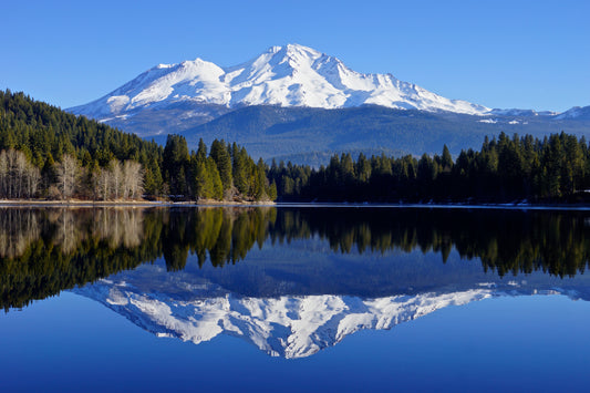 Mt. Shasta Galactic Retreat 2025 (on-line)