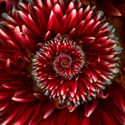 Arcturian Spirit Harm Protection Sequence
