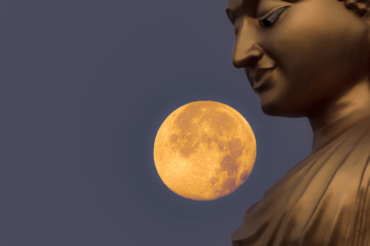 Wesak 2024: Accelerate Your Life Transmission