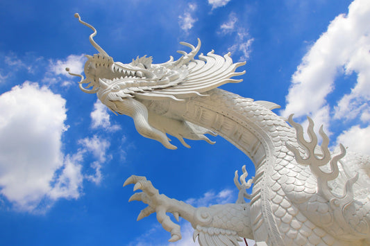 White Dragon Curse Removal Program