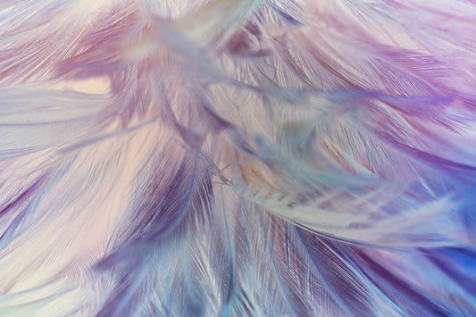 Arcturian Psychic Protection Healing Session