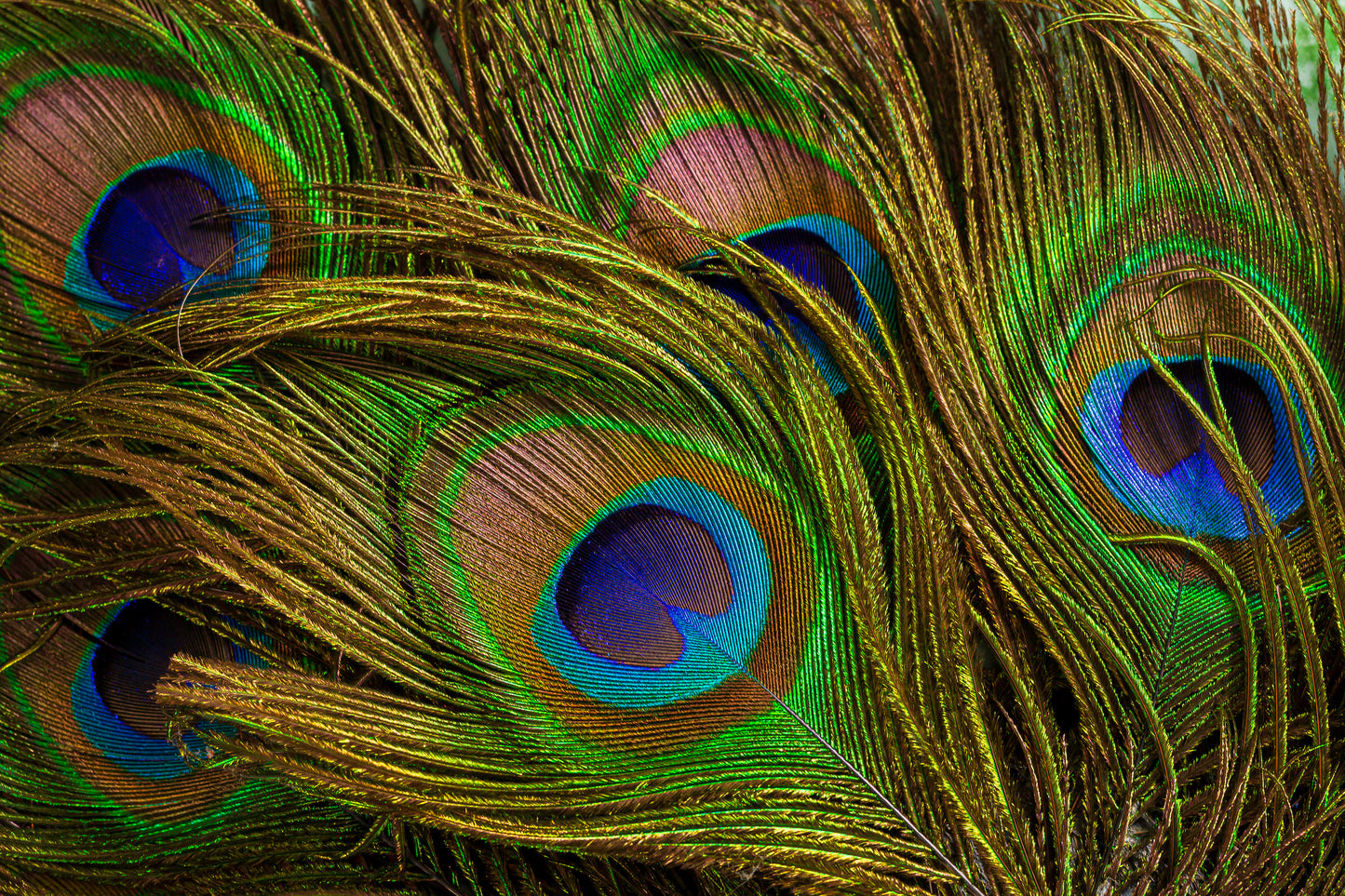 Antahkarana Awakening Program Part II-Connecting to the Higher Soul Frequencies